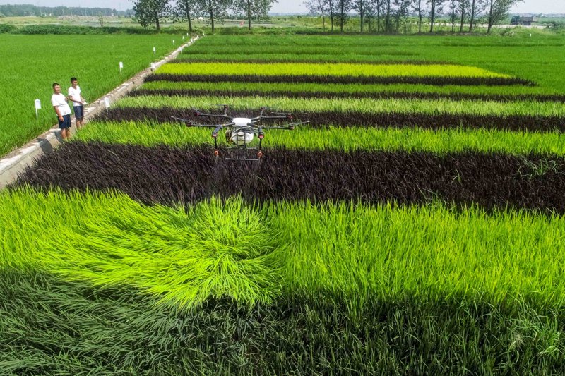 生物有机肥十大品牌选购实战指南（数据篇·2026版）